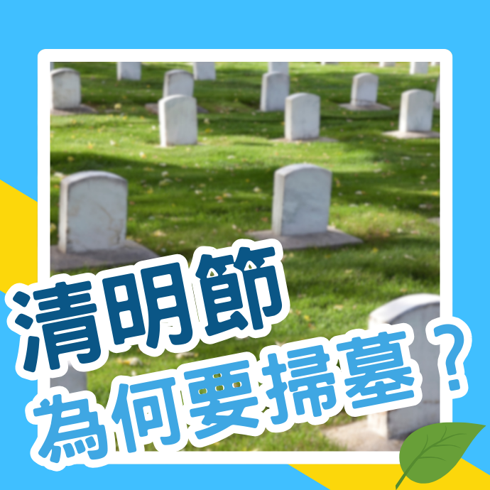 清明節掃墓供品如何準備？有什麼禁忌？清明節為何要掃墓？